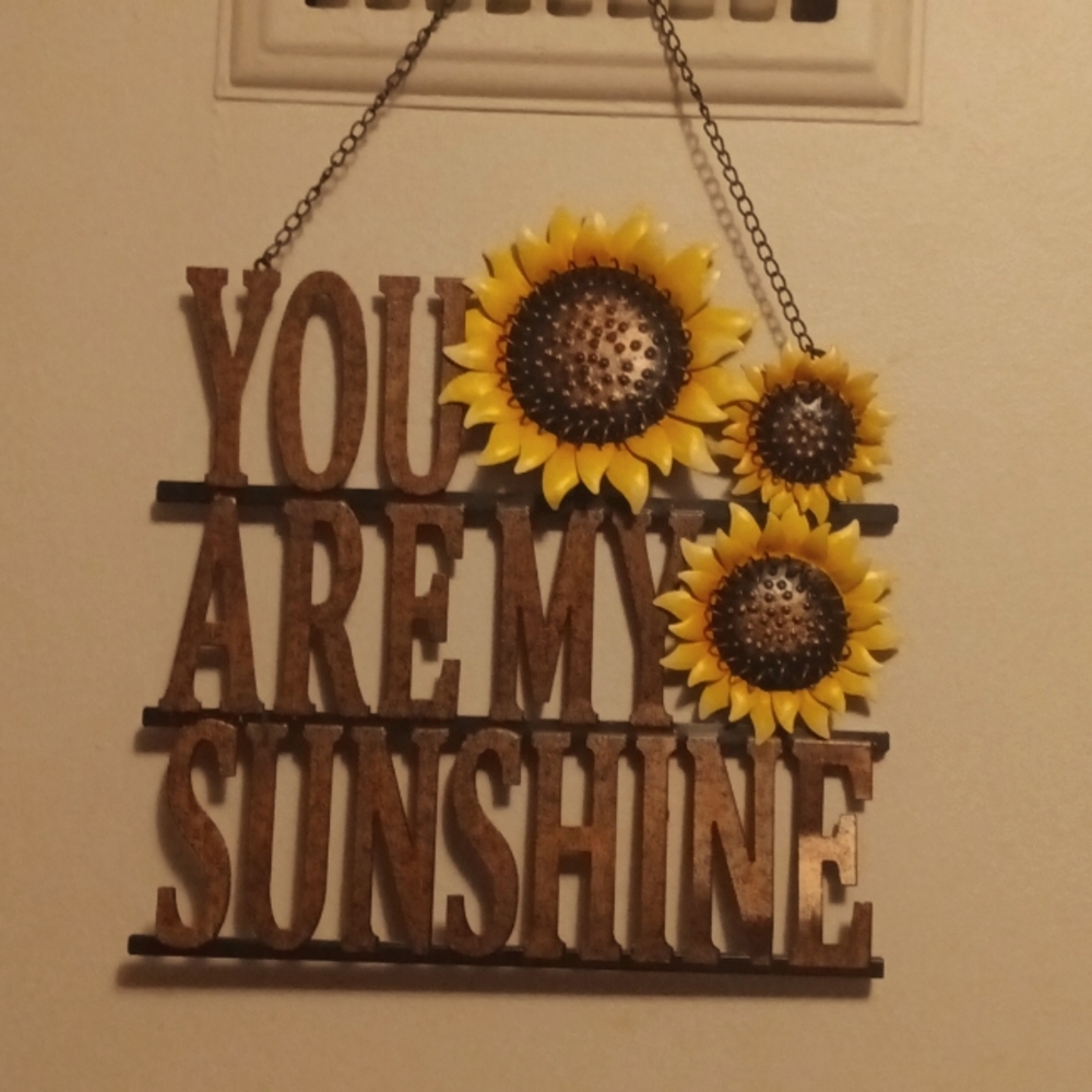 Wall or door hanger
